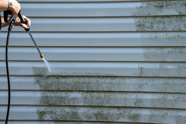 Best Garage Cleanout  in Elmira Heights, NY